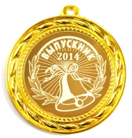 Медаль Выпускник 2024г