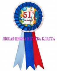 Значок-розетка с любой цифрой и буквой класса